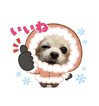 ゆめの毎日スタンプ5（個別スタンプ：1）
