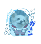 ゆめの毎日スタンプ5（個別スタンプ：4）
