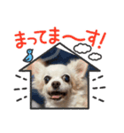 ゆめの毎日スタンプ5（個別スタンプ：6）
