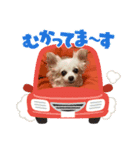 ゆめの毎日スタンプ5（個別スタンプ：7）