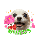 ゆめの毎日スタンプ5（個別スタンプ：8）