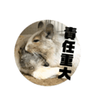 ウチのぽてとさらだ（個別スタンプ：3）