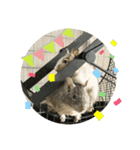 ウチのぽてとさらだ（個別スタンプ：5）