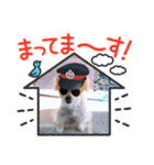 コバプリン（個別スタンプ：5）