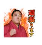 【公式】お相撲さんスタンプ（個別スタンプ：4）