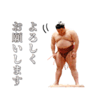 【公式】お相撲さんスタンプ（個別スタンプ：8）