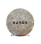 パワーストーンブレスレットスタンプ（個別スタンプ：5）