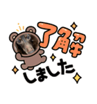 ウチのまろたん（個別スタンプ：10）