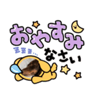 ウチのまろたん（個別スタンプ：12）