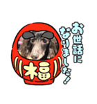 ウチのまろたん（個別スタンプ：22）