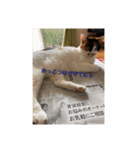 まるまるかいかい（個別スタンプ：7）