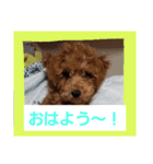 サン日常スタンプ（個別スタンプ：6）