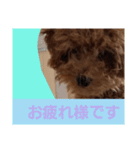 サン日常スタンプ（個別スタンプ：7）