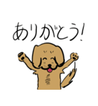 ゴールデンのポテくん【まっちー】（個別スタンプ：5）