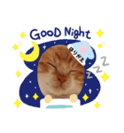 はり猫1（個別スタンプ：2）