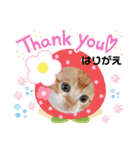 はり猫1（個別スタンプ：3）