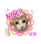 はり猫1（個別スタンプ：7）