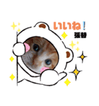 はり猫1（個別スタンプ：9）