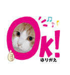 はり猫1（個別スタンプ：14）