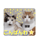 はり猫1（個別スタンプ：18）