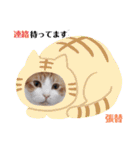 はり猫1（個別スタンプ：22）