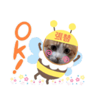 はり猫1（個別スタンプ：23）