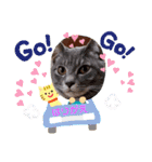 はり猫1（個別スタンプ：30）