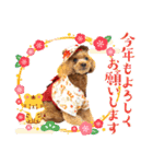 プードルのお正月（個別スタンプ：1）