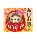 プードルのお正月（個別スタンプ：7）