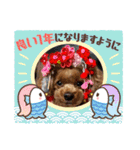 プードルのお正月（個別スタンプ：8）