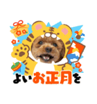 プードルのお正月（個別スタンプ：11）
