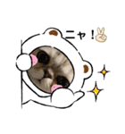 犬と猫の愉快な仲間達（個別スタンプ：1）