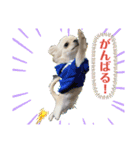 犬と猫の愉快な仲間達（個別スタンプ：2）