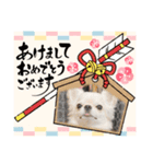 愉快な仲間達「イベント」（個別スタンプ：6）