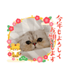 愉快な仲間達「イベント」（個別スタンプ：7）