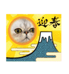 愉快な仲間達「イベント」（個別スタンプ：8）