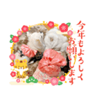 愉快な仲間達「イベント」（個別スタンプ：11）