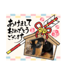 愉快な仲間達「イベント」（個別スタンプ：13）