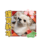 愉快な仲間達「イベント」（個別スタンプ：15）