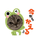 ふくまるとまさもさ（個別スタンプ：5）