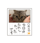 ふくまるとまさもさ（個別スタンプ：9）