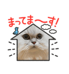 ふくまるとまさもさ（個別スタンプ：10）