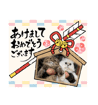 ふくまるとまさもさ（個別スタンプ：13）