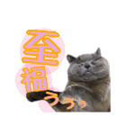 うちのデブリティシュ（個別スタンプ：7）