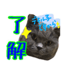 うちのデブリティシュ（個別スタンプ：10）