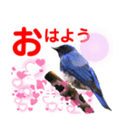 幸せを運ぶ青い鳥たち【正規版（第2版）】（個別スタンプ：3）