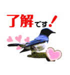 幸せを運ぶ青い鳥たち【正規版（第2版）】（個別スタンプ：5）