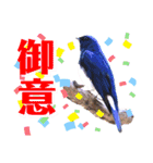 幸せを運ぶ青い鳥たち【正規版（第2版）】（個別スタンプ：6）