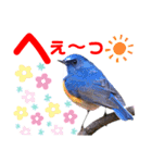 幸せを運ぶ青い鳥たち【正規版（第2版）】（個別スタンプ：23）