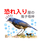 幸せを運ぶ青い鳥たち【正規版（第2版）】（個別スタンプ：26）